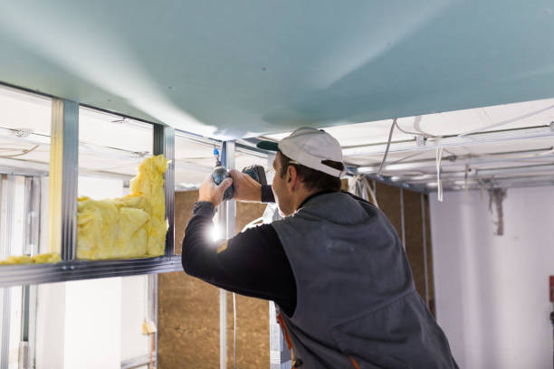 Best Attic Insulation Installation  in Seffner, FL