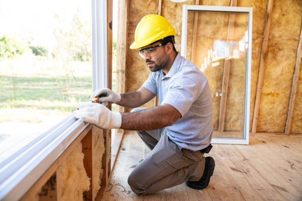 Best Insulation Removal  in Seffner, FL